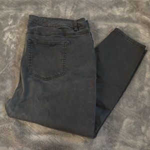 Lane Bryant-light black jeans